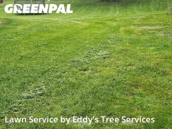 Lawn mowed in Rockford, 49341