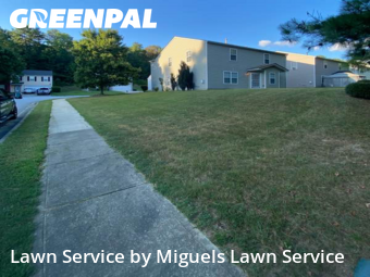 Lawn Cut nearby Atlanta, GA, 