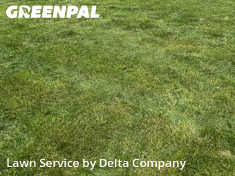 Lawn Management in Bowling Green, 42103, Front Yard Mowing by Delta Company , work completed in Nov , 2025