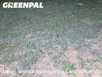 Yard Care Services in Englewood, 80113, Weed Trimming by Inspiring Landscape, work completed in Nov , 2025