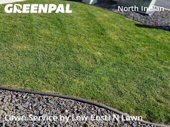 Lawn mowed in Spokane, 99208
