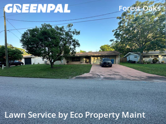 Grass Cut nearby Spring Hill, FL, 