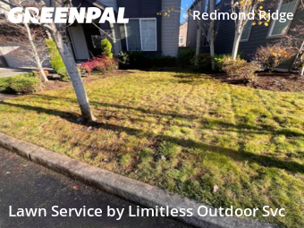 Yard Mowing nearby Redmond, WA, 