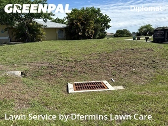 Yard Cutting nearby Cape Coral, FL, 
