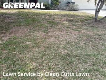 Lawn Cut nearby Ellenton, FL, 