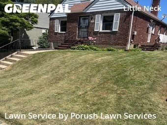 Grass Cut nearby Queens, NY, 