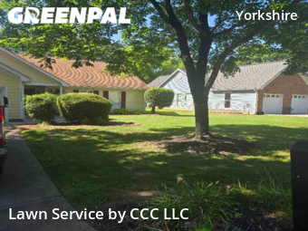 Lawn Care nearby Charlotte, NC, 