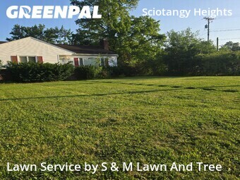 Yard Cutting nearby Columbus, OH, 