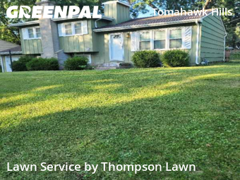 Lawn Cuttingin Shawnee,66203,Lawn Cut by Thompson Lawn, work completed in Feb , 2026