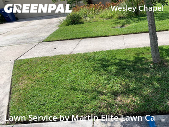 Lawn Mowing Service nearby Wesley Chapel, FL, 