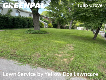 Lawn Care Service nearby Nashville, TN, 