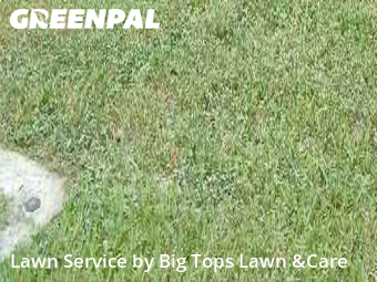 Yard Management in Longwood, 32750, Backyard Mowing by Big Tops Lawn &Care, work completed in Nov , 2025