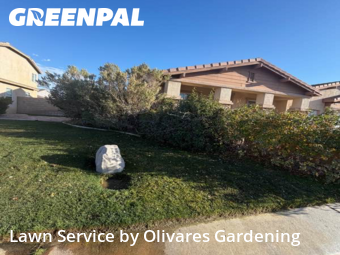 Work completed by local-lawn-maintenance-contractors-in-Lancaster-CA