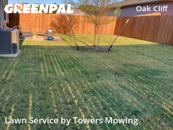 Grass Cut nearby Dallas, TX, 