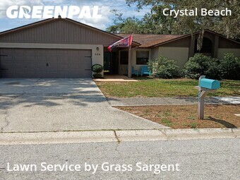 Yard Mowing nearby Palm Harbor, FL, 