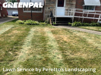 Grass Cutting nearby Parma, OH, 