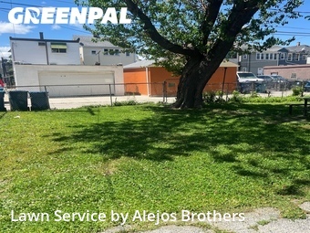 Lawn mowed in Melrose Park, 60160