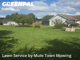 Lawn Mowing nearby Murfreesboro, TN, 