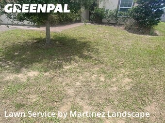 Lawn Cut nearby Groveland, FL, 