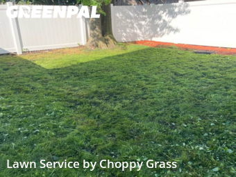 Grass Cut nearby North Bergen, NJ, 