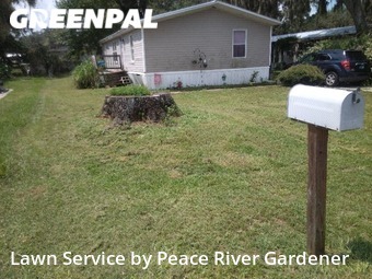 Lawn Cut nearby Riverview, FL, 