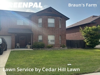 Lawn Cutting nearby San Antonio, TX, 