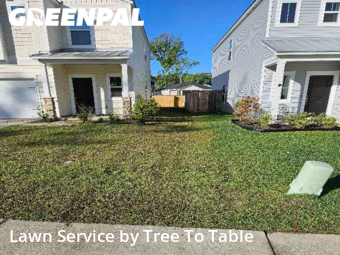 Lawn Mowing Service nearby Charleston, SC, 