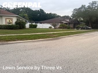 Grass Cut nearby Clearwater, FL, 