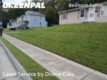 Grass Cut nearby Roanoke, VA, 