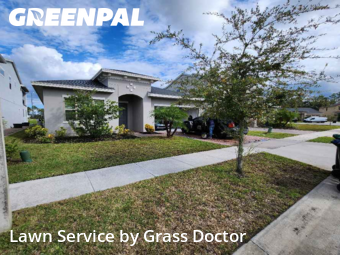 Lawn Mow nearby Orlando, FL, 