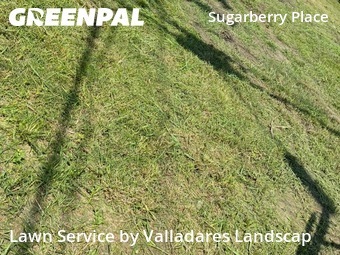 Grass Cuttingin Tomball,77375,Yard Cutting by Valladares Landscap, work completed in Mar , 2026