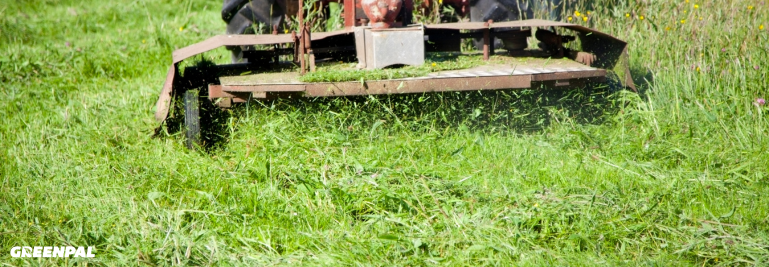 How Much Should You Charge for Bush Hogging? | GreenPal