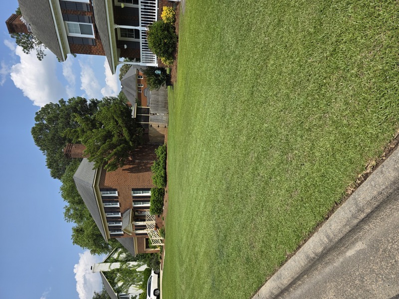 Work Image 6