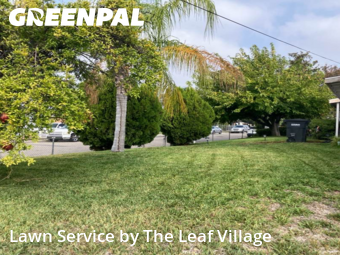 Work completed by lawn-care-experts-near-me-in-Colton-CA