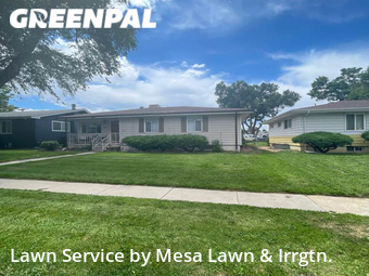 Grass Cutting nearby Englewood, CO, 