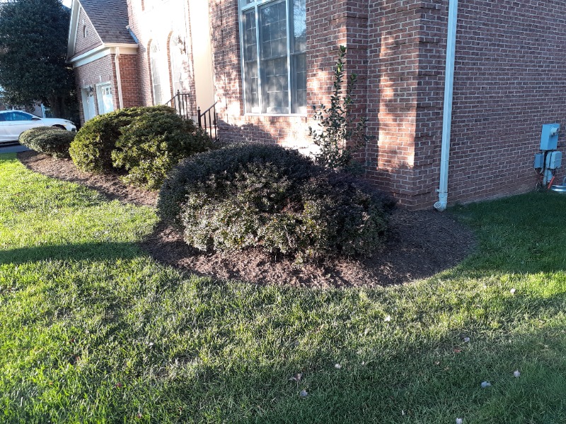 Lawn Care Service in Chantilly, VA, 20151