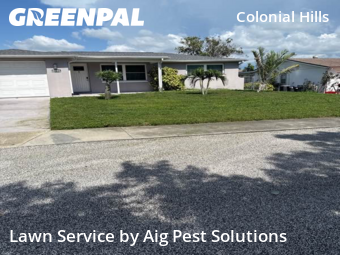 Lawn Cut nearby New Prt Rchy, FL, 