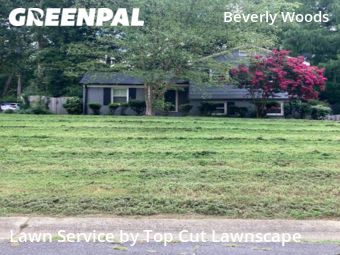 Lawn Cut nearby Charlotte, NC, 