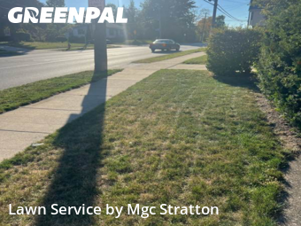 Mowing Services in Lakewood, 44107, Backyard Mowing by Mgc Stratton, work completed in Nov , 2025