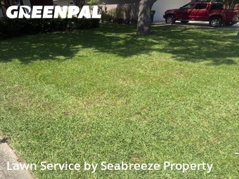 Grass Cutting nearby Fort Walton Beach, FL, 