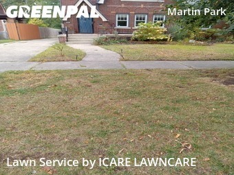 Grass Cut nearby Detroit, MI, 