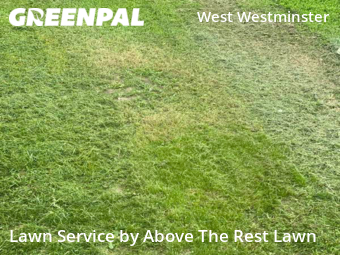 Lawn Cutting nearby Arvada, CO, 