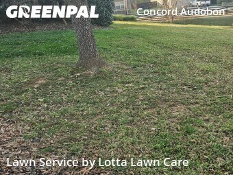 Yard Mowing nearby Chattanooga, TN, 