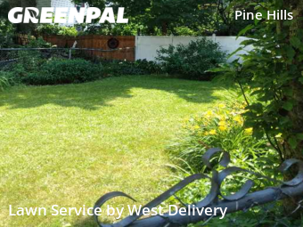 Lawn Care Service nearby Albany, NY, 