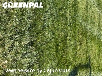 Lawn Mowing nearby Walterhill, TN, 