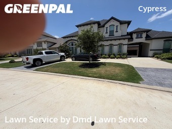 Lawn Cut nearby Cypress, TX, 