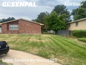 Lawn Care Service nearby Aurora, CO, 