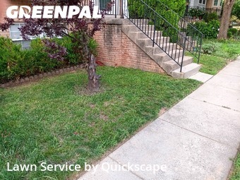 Lawn mowed in Centreville, 20120