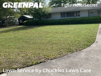 Grass Cutting nearby Jacksonville, FL, 
