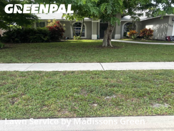 Landscaping Maintenance in Royal Palm Beach, 33411, Yard Maintenance by Madissons Green, work completed in Nov , 2025